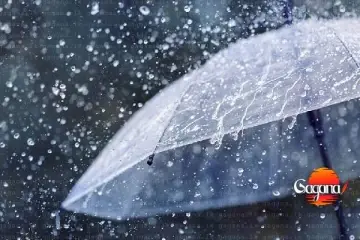 ප්රදේශ කිහිපයකට පස්වරුවේ තද වැසි